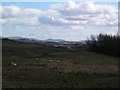 Looking across farmland towards the Urr valley