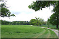 Grazing Land in Country Park, Shropshire