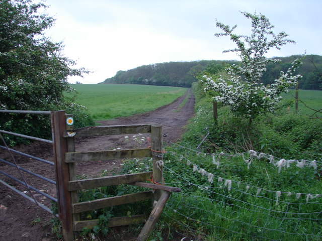 Footpath leading uphill towards Wytham Great Wood