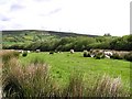 Croneen Barr Townland