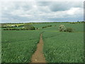 Well Defined Footpath.