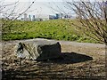 Erratic Boulder, Wilton