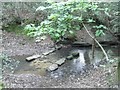 Stepping stones, Horn Brook