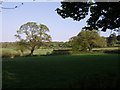 Fields near Lewtrenchard