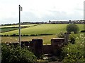 Warren Lane to Staincross Common Footpath