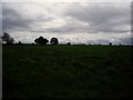 View over field towards Ellesmere Farm