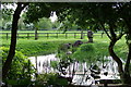 Otter pond, Bourton Park, Buckingham