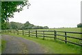 Horse Pasture, Berrow