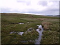 Track to Stoneygill