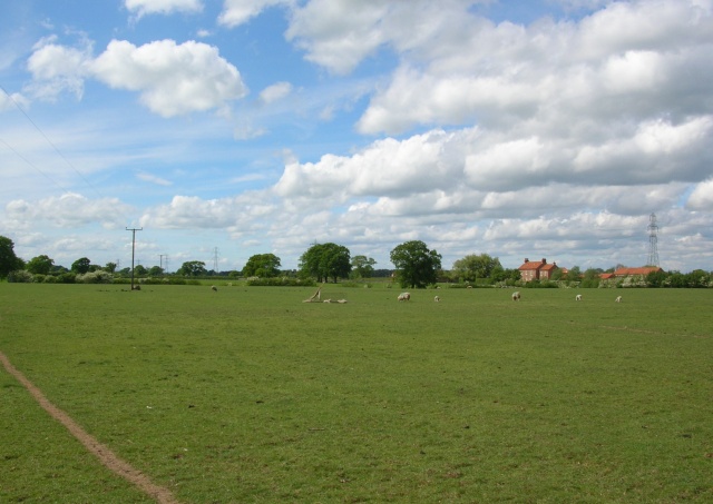 Sheep and Thickpenny Farm