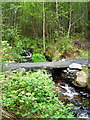 Burn in Kirroughtree Forest