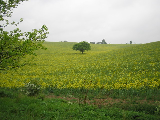 Valley to Herne Green Farm