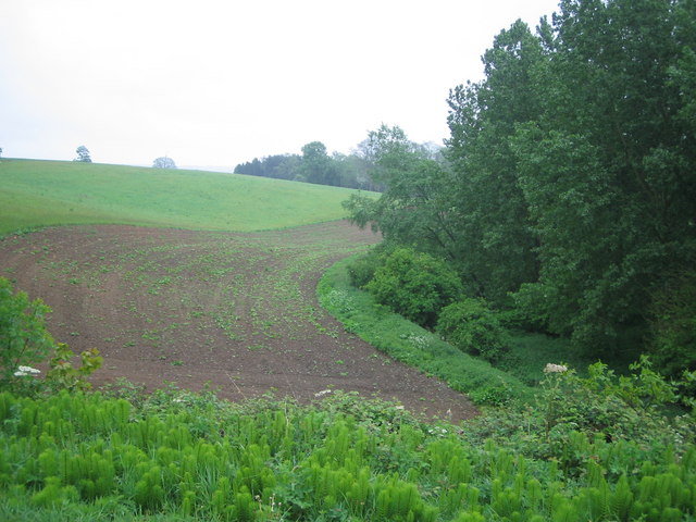 Manor Wood boundary