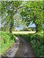 Farm Lane near Landfordwood