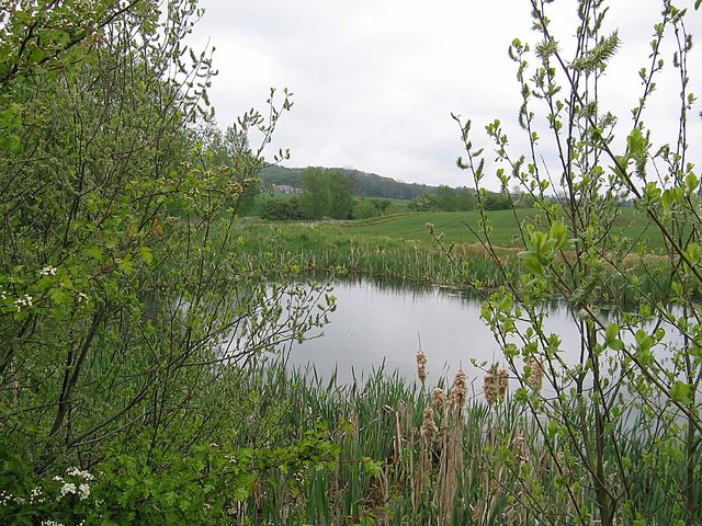 Pond near Shadforth