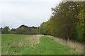 Footpath on the side of Haredene