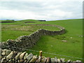 Curved stone walls on Lavich Hill