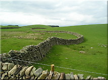 NX7471 : Curved stone walls on Lavich Hill by Ruth Madigan