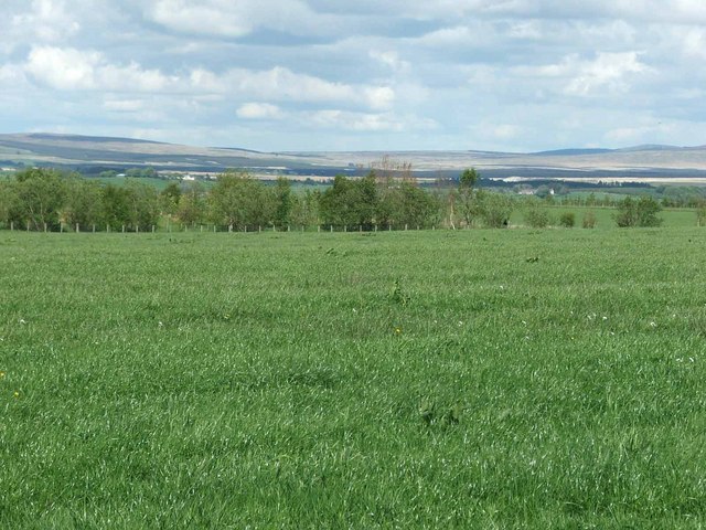 View towards Airds Moss