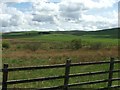 Looking across a reinstated opencast site.