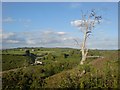 Farmland near Llanmadoc