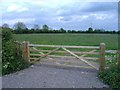 ST9892 : Field, near Eastcourt House by Roger Cornfoot