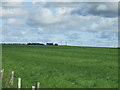 View towards North Lothian