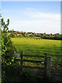 Field and edge of village, Steeple Claydon
