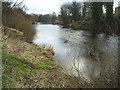 River Wharfe nr Wetherby