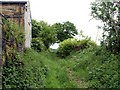 Footpath Sheep Lane to Sheep Lane Head