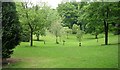 Nab Wood Crematorium - Ground where ashes are scattered.