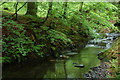 The Crawfordsburn near Crawfordsburn