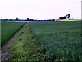 The Wilberfoss to High Catton Footpath