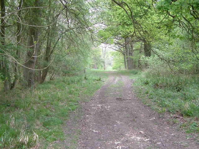 Monks Wood National Nature Reserve