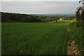 SO6924 : Farmland at Briery Hill by Philip Halling