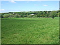 Sealyham Mansion from the southwest