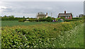 Cottages on the road to Binbrook Hall