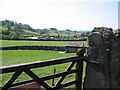 A Field Gate and Dog Meadow Allotments