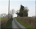 Lane to Detton