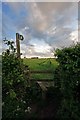 Stile into barley field, Sixpenny Handley