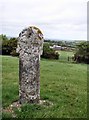 Ancient Cross and High Hall