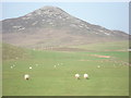 Farmland at Bwlch, Llithfaen