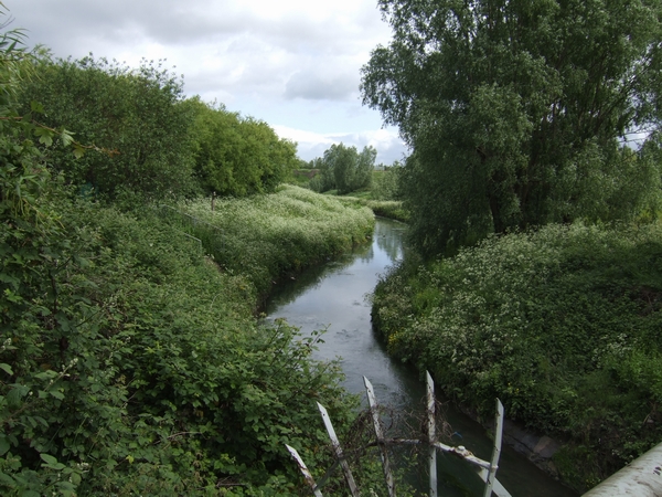 River Tame flows peacefully