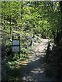 Path through Castlebergh Plantation, Settle