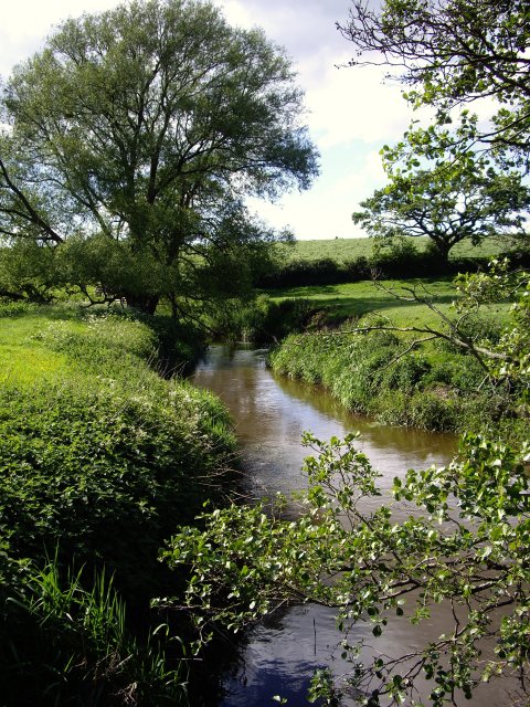 River Weaver running alongside South Cheshire Way