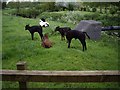 Cows near River Weaver