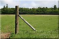 On the edge of Gunoak Wood