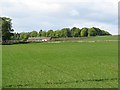 Muirhouses Farm Cottages