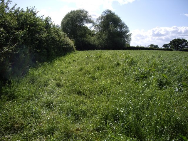 View across field to the west