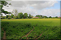 Fields between Kilmeston Road and the Wayfarer